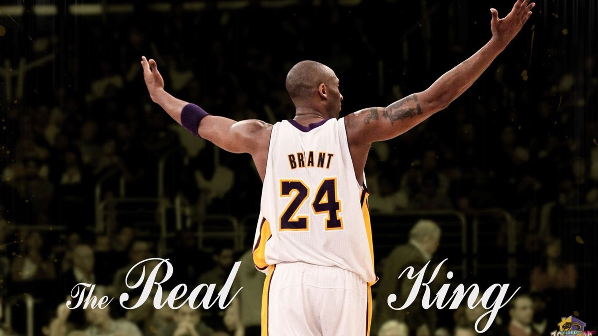 CBA赛场见证中国篮球成长足迹，cba历程