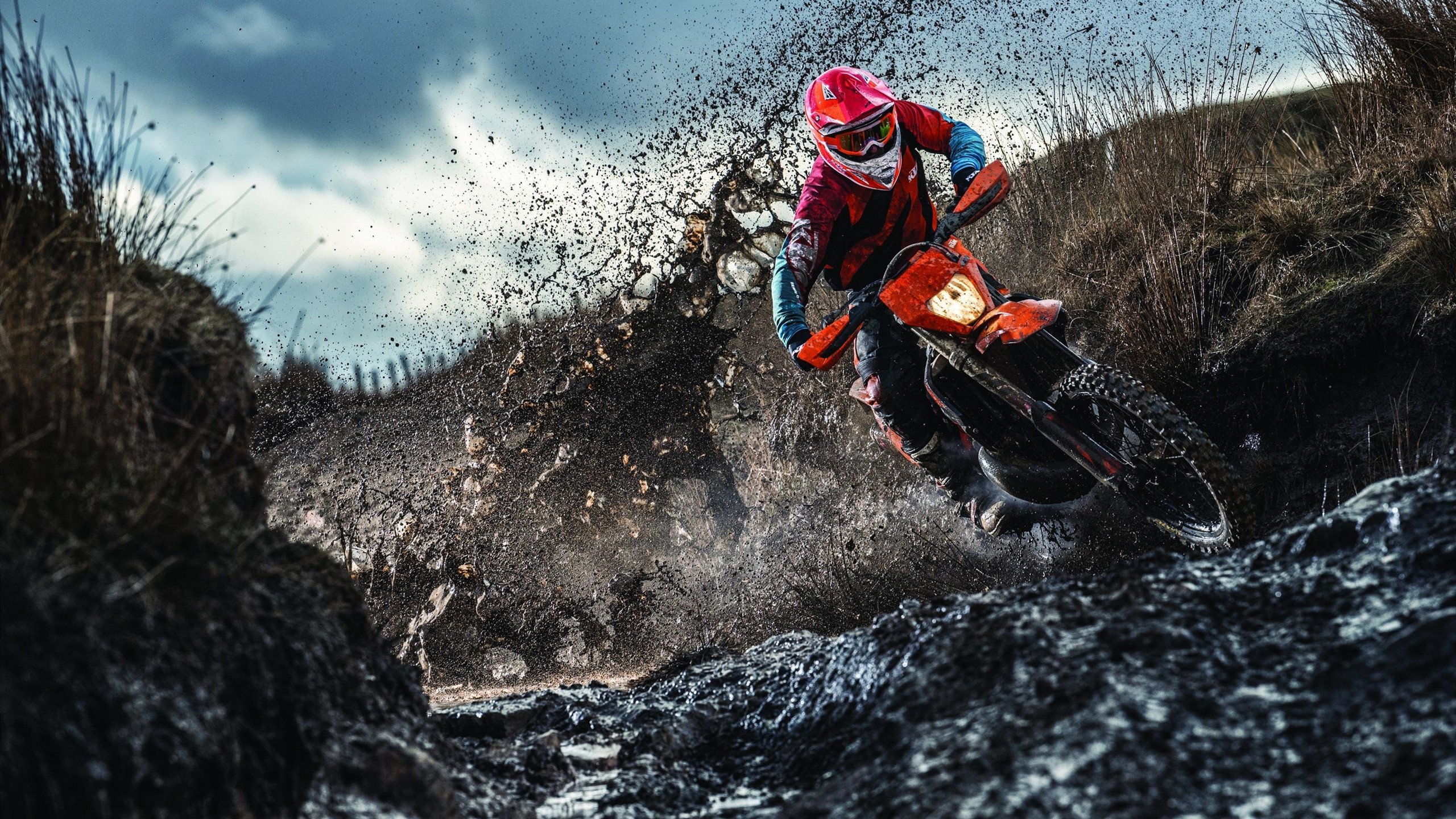 本土足球发展:英超青训体系再度迎来巅峰挑战,英超各队青训球星